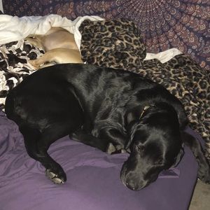 Meet your Posher, Jenna